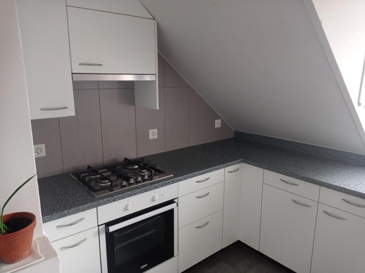 Gemuetliche Dachwohnung St. Gallen Dış mekan fotoğraf