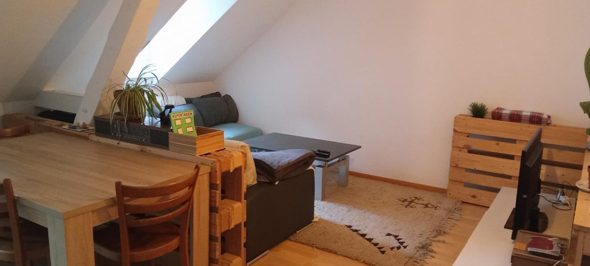 Gemuetliche Dachwohnung St. Gallen Dış mekan fotoğraf