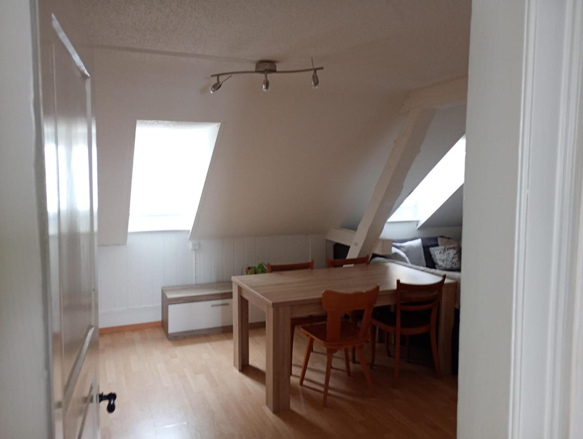 Gemuetliche Dachwohnung St. Gallen Dış mekan fotoğraf